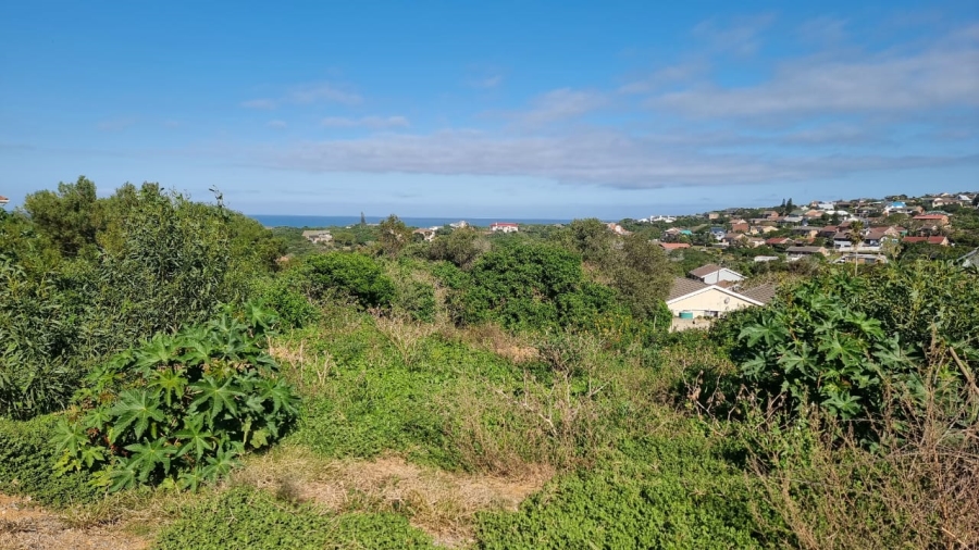 0 Bedroom Property for Sale in Forest Downs Eastern Cape
